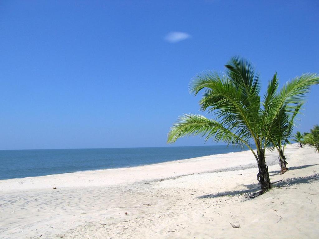 Marari Felix Beach Homestay マラリクラム エクステリア 写真